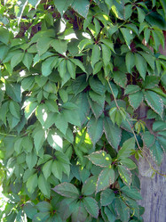 Similar image 21793191