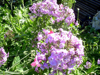 Similar image 21793192