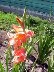 Similar image 21793193