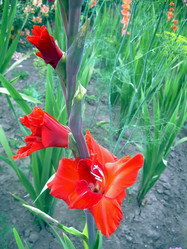 Similar image 21793194