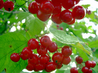 Similar image 21793195