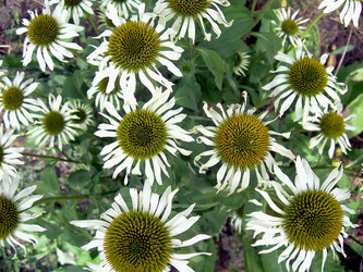 Similar image 21793196