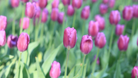 Similar image 21794732