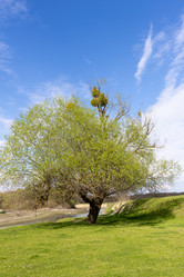 Similar image 21793030