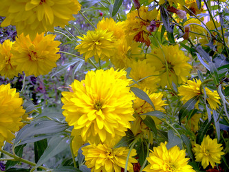 Similar image 21793197