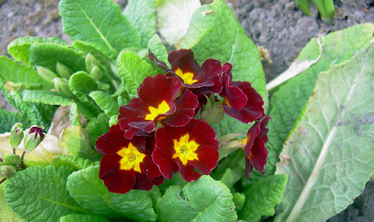 Similar image 21793198