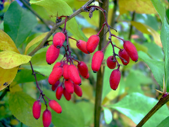 Similar image 21793199