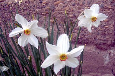 Similar image 21793200