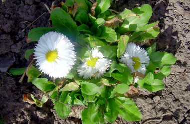 Similar image 21793201