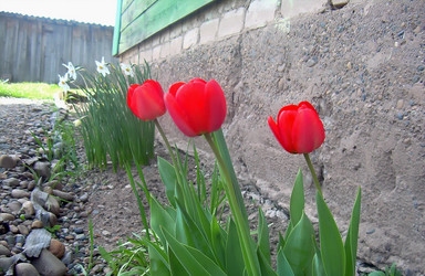 Similar image 21793202