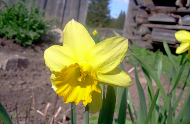 Similar image 21793203