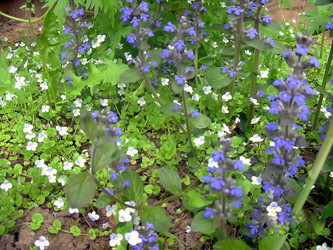 Similar image 21793205