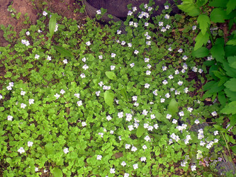 Similar image 21793206