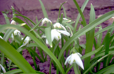 Similar image 21793209