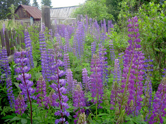 Similar image 21793210