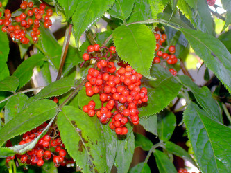 Similar image 21793211