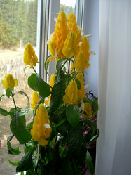 Similar image 21793212