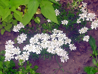 Similar image 21793213