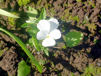 Similar image 21793214