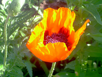 Similar image 21793215