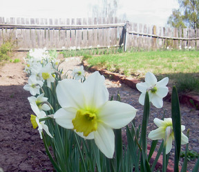 Similar image 21793216