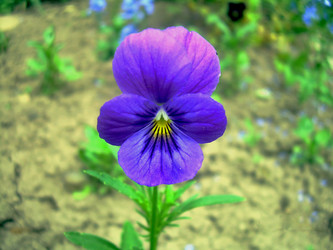 Similar image 21793220