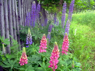 Similar image 21793221