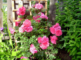 Similar image 21793223