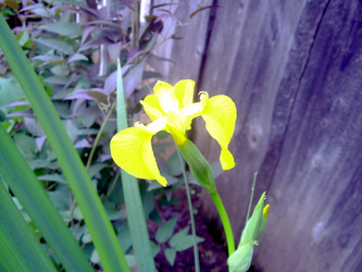 Similar image 21793224