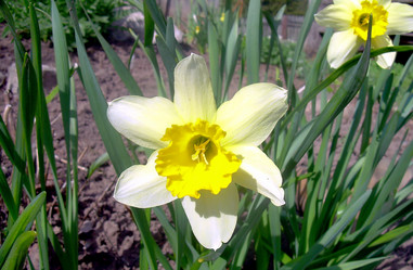 Similar image 21793227