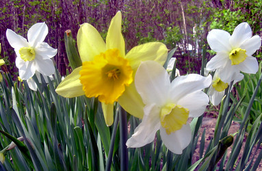 Similar image 21793228