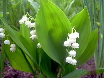 Similar image 21793232