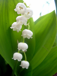 Similar image 21793233