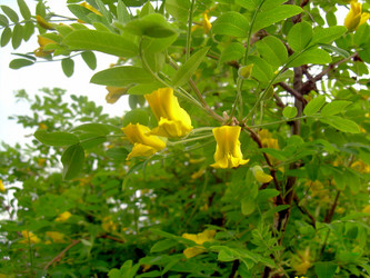 Similar image 21793234