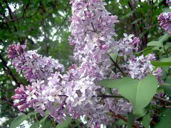 Similar image 21793235