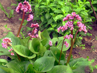 Similar image 21793236