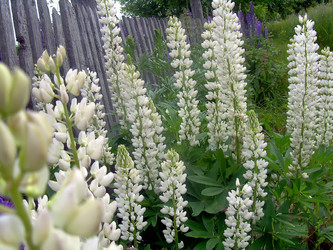 Similar image 21793237