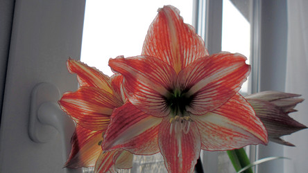 Similar image 21793238