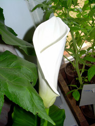 Similar image 21793239