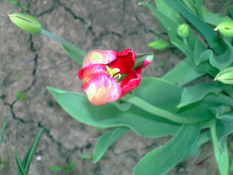 Similar image 21793240