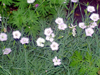 Similar image 21793241