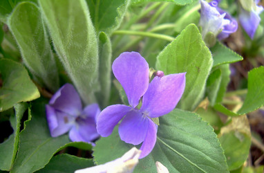 Similar image 21793242