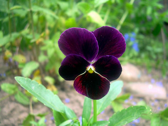 Similar image 21793243