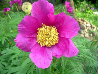 Similar image 21793244