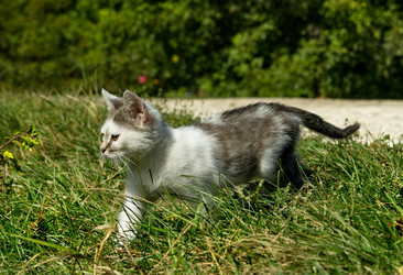 Similar image 21804917