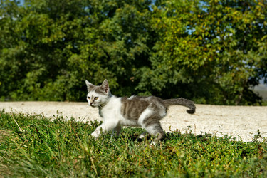 Similar image 21804919