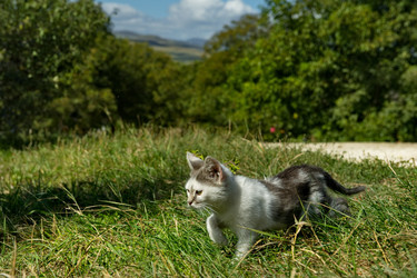 Similar image 21804921