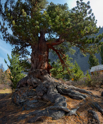 Similar image 21805520