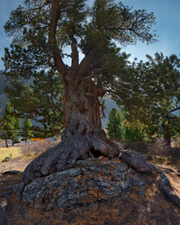 Similar image 21805521