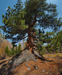 Similar image 21805527